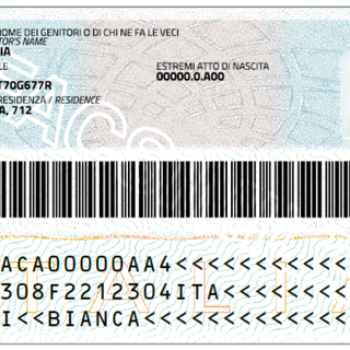 carta d'identità elettronica