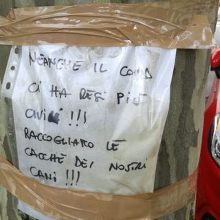 "Neanche il Covid ci ha reso più civili": la battaglia contro i padroni di cani maleducati ha superato la pandemia "Neanche il Covid ci ha reso più civili": la battaglia contro i padroni di cani maleducati ha superato la pandemia