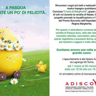 Per le festività di Pasqua riapre a Torino il mercatino Adisco