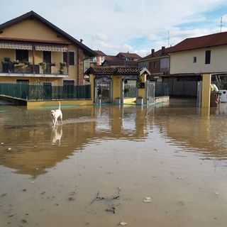 Moncalieri, storie di post alluvione: dopo due mesi di nuovo a casa, ma i problemi restano