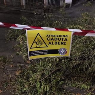 Blitz di CasaPound in corso Dante, pericolo caduta alberi