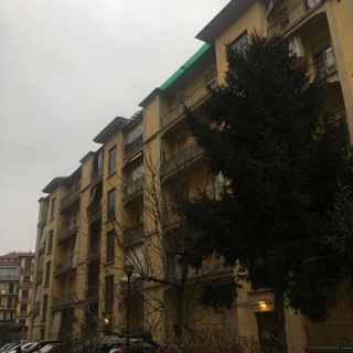 Emergenza abitativa, Canalis (Pd): &quot;Questione epocale, ma la Giunta Cirio vara solo provvedimenti elettoralistici&quot;