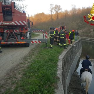 Cavallo cade nel canale d'Ivrea, recuperato con i sommozzatori e un'autogru