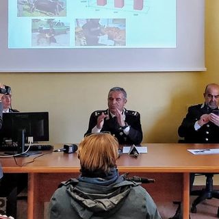Incendi nei boschi di Val di Susa e nel Canavese: carabinieri forestali indagano su episodi seriali