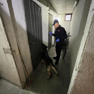 Spaccio ed estorsione: eseguite a Mirafiori tre ordinanze di custodia cautelare