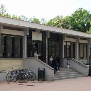 cinema sotto le stelle al grosa