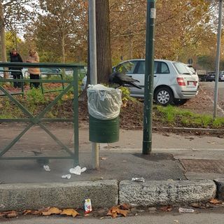 Cestini intasati, la Circoscrizione 4 chiede gli “anti-corvo”
