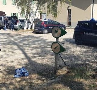 Bambina investita davanti all'asilo di Chieri: condizioni stabili, ma gravissime
