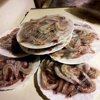Involtini primavera e altro cibo malconservato e contaminato da insetti, a Torino la Polizia sequestra 400 chili di alimenti