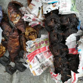 Blitz a Porta Palazzo: sequestrate enormi quantità di cibo mal conservato all'interno di alcuni box [FOTO]