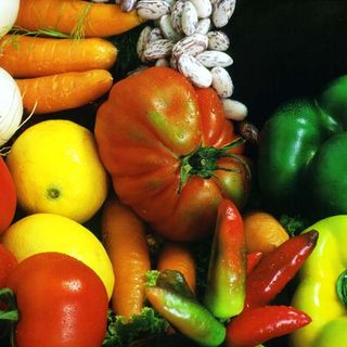 Il Consiglio regionale dice no al cibo sintetico