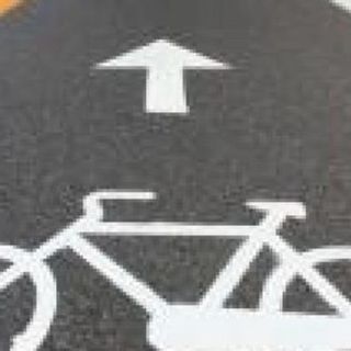Ciclabile di corso Francia, Magliano: &quot;Togliete i dissuasori&quot;