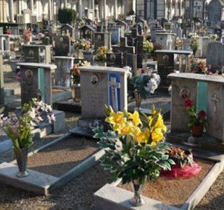 Il vento &quot;chiude&quot; il Cimitero Parco