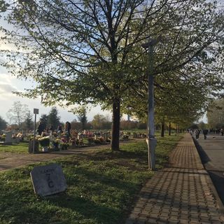 cimitero parco - foto di archivio cimitero parco - foto di archivio