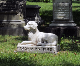 A Torino un camposanto per animali vicino al cimitero Parco