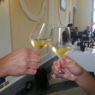 Il vino prende casa in centro città. E se nascesse un vigneto in piazzale Valdo Fusi?