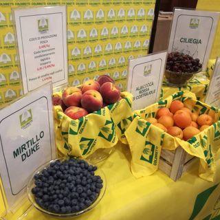 Coldiretti: &quot;L’alimentare e l’export trainano l'economia Made in Piemonte”
