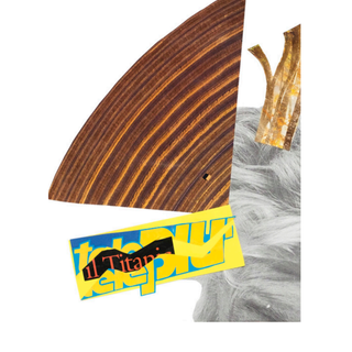 "Colla Faccia", Vallette e Lucento si mettono in mostra con l'aiuto dei residenti