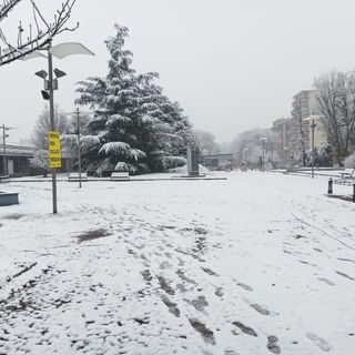 Presentato il Rendiconto nivometrico 2019-2020
