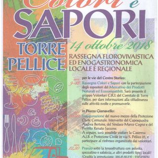 Torre Pellice, torna l'appuntamento con &quot;Colori e sapori&quot;