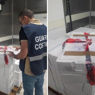 Nel Torinese multa da diecimila euro per prodotti ittici scongelati e scaduti