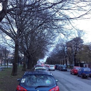Passeggiata &quot;sul campo&quot; per i consiglieri della Circoscrizione 4, tra tombini, foglie in eccesso e spazi verdi a rischio (FOTO)