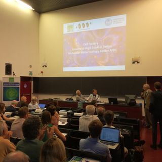 Lotta ai tumori, il Piemonte &quot;scopre&quot; le CAR-T Cells che &quot;addestrano&quot; il sistema immunitario [VIDEO]