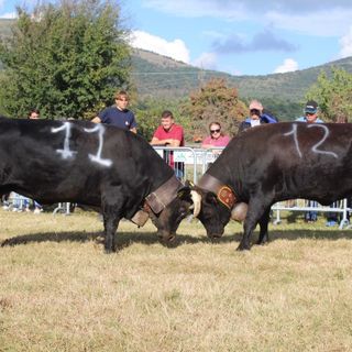 foto di repertorio