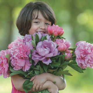 A Carmagnola, torna Peonie in fiore: esposte oltre 4 mila piante