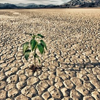 Siccità, Coldiretti Piemonte: &quot;SOS per le semine primaverili&quot;