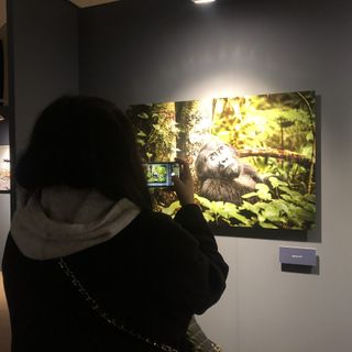 Le foto di Steve McCurry alla Palazzina di Caccia di Stupinigi