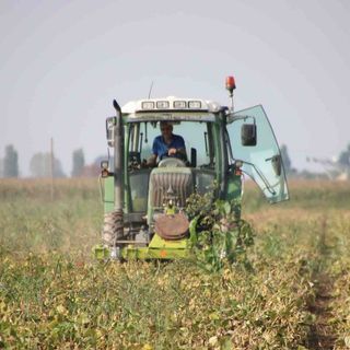 Psr Piemonte, la Regione proroga al 15 marzo la scadenza del bando a favore delle imprese agroindustriali