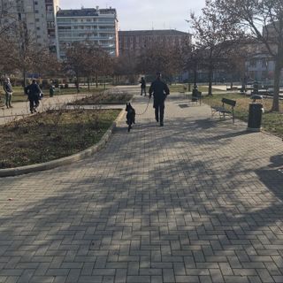 Giardini Madre Teresa, i carabinieri trovano hashish e marijuana