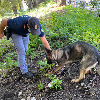 Controlli nel quartiere Aurora, due arresti e una denuncia
