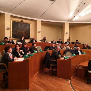 Danni da selvatici, dal Piemonte parte la mobilitazione degli agricoltori: "Sia lo Stato a occuparsi del controllo degli animali, non i cacciatori" Danni da selvatici, dal Piemonte parte la mobilitazione degli agricoltori: "Sia lo Stato a occuparsi del controllo degli animali, non i cacciatori"