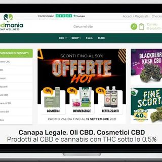 Perché avere un sito web? L’importanza della presenza online