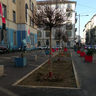 Liceo Regina Margherita: piante morte e sporcizia nella nuova area pedonale