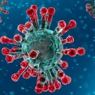 Coronavirus in Piemonte: oltre 22 mila i guariti, dieci i decessi comunicati oggi dall'Unità di Crisi