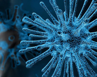 Coronavirus, il gruppo Fazio: “In Piemonte la curva epidemica è in ritardo rispetto alle altre Regioni del Nord”