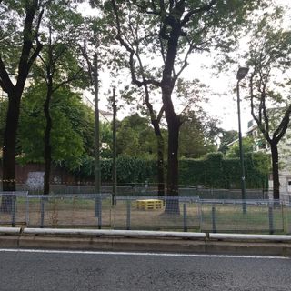 Corso Gabetti parco lineare, ma solo per poco: il Comune promette il ritorno del tram