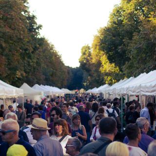 Grande successo per la prima edizione di Enjoy San Salvario