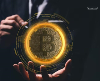 Polkadot (DOT) e Chainlink (LINK) prosperano con lo sviluppo WEB3, ma TMS Network (TMSN) sale nell'evento di prevendita