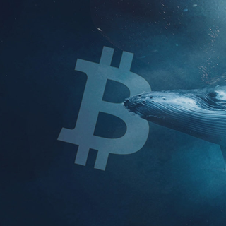 Le balene avevano capito tutto e si erano fiondate su BTC appena era sceso sotto 70 mila dollari