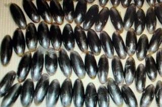 Torino, cerca di nascondere dell'hashish nello yogurt: arrestato