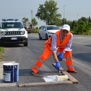 Rotonda di Tetti Francesi, il sindaco di Rivalta rifà le strisce pedonali Rotonda di Tetti Francesi, il sindaco di Rivalta rifà le strisce pedonali