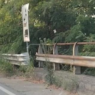erba alta e degrado