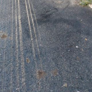 deiezioni canine in via carutti