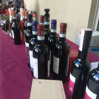 Di Freisa in Freisa, un clima estivo ha accolto gli appassionati dell'enogastronomia torinese [FOTO e VIDEO]