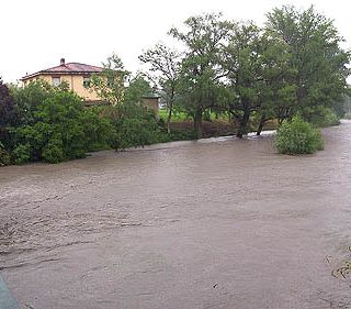 Appuntamento domenica 8 aprile con l'escursione &quot;Parco della Dora&quot;