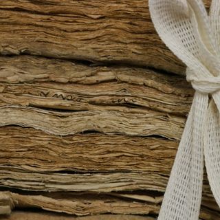 Digitalizzazione, la biblioteca storica di Palazzo Cisterna sbarca su Internet Archive